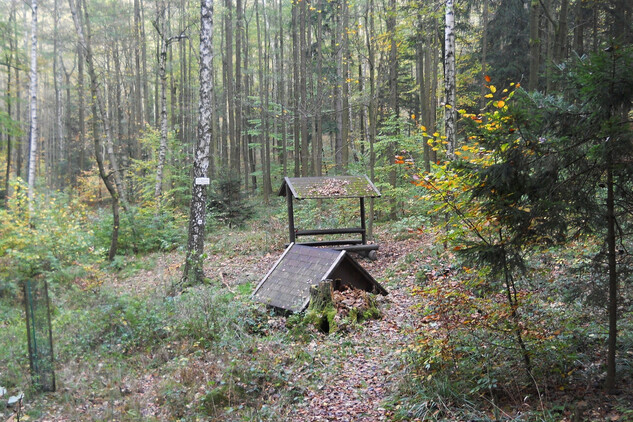 Kreslova studánka 2