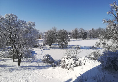 zasněžený rybník